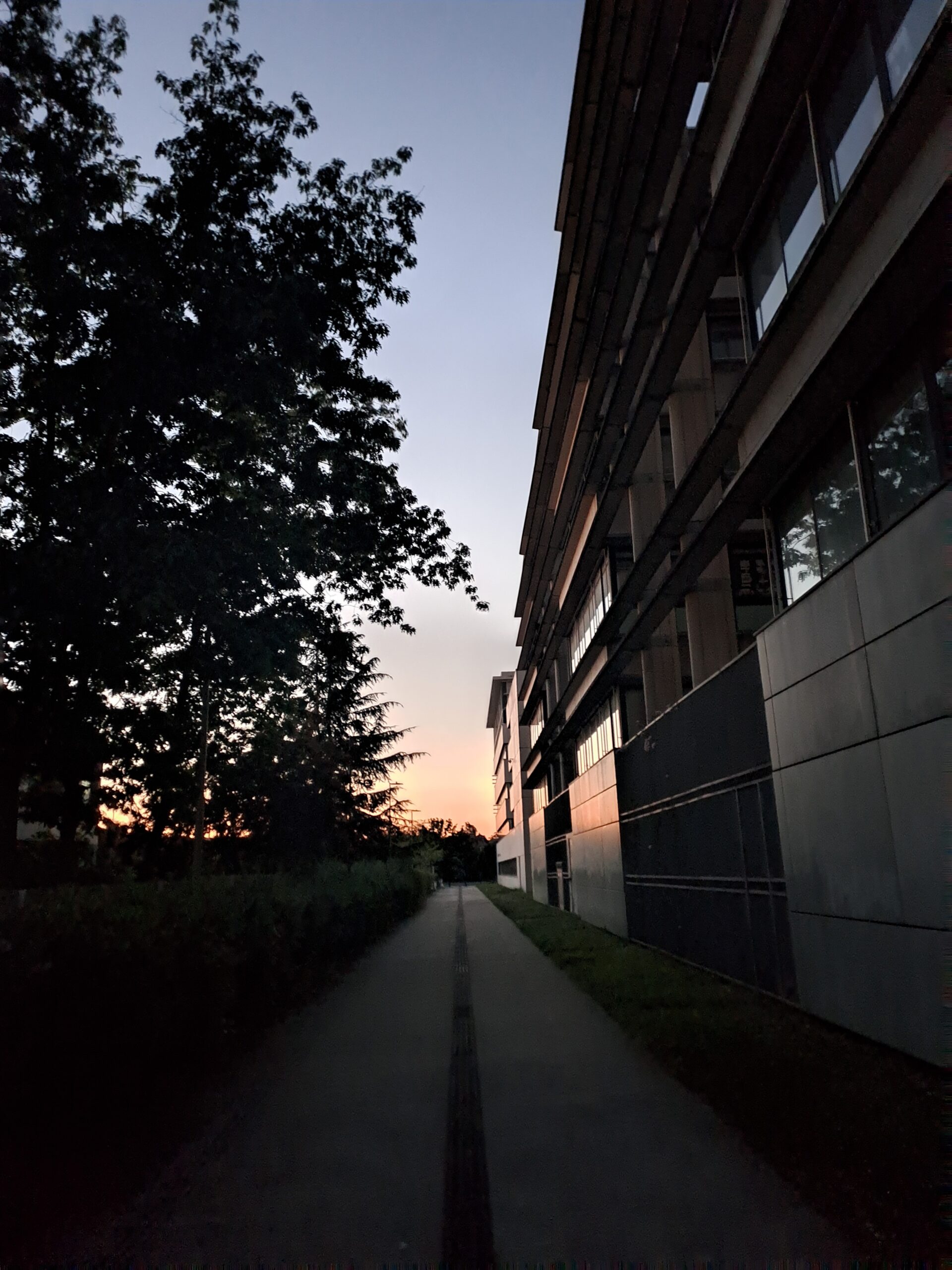 Chemin étroit entre un bâtiment moderne et une rangée d’arbres au lever du soleil, symbolisant la tranquillité d’une routine matinale simple et apaisante.