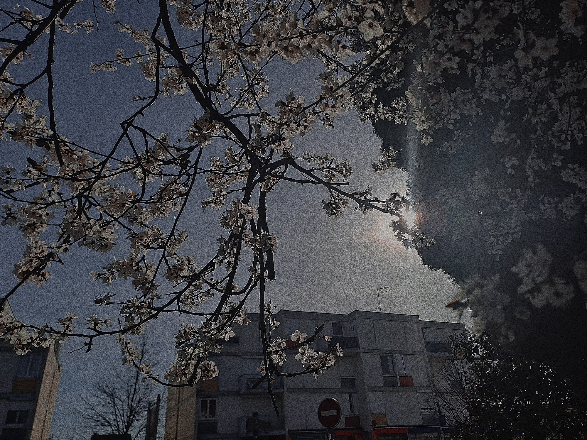 Le but de l‘image est de representer a quoi un matin peut ressembler si on se leve du bon pied grave au miracle morning